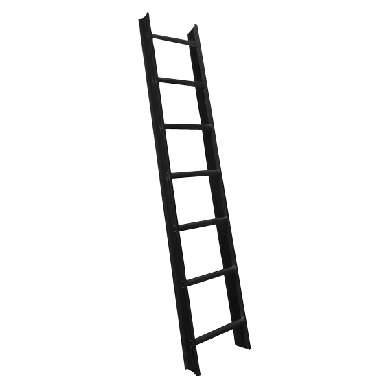 Roof ladder, aluminum, stationary, black
