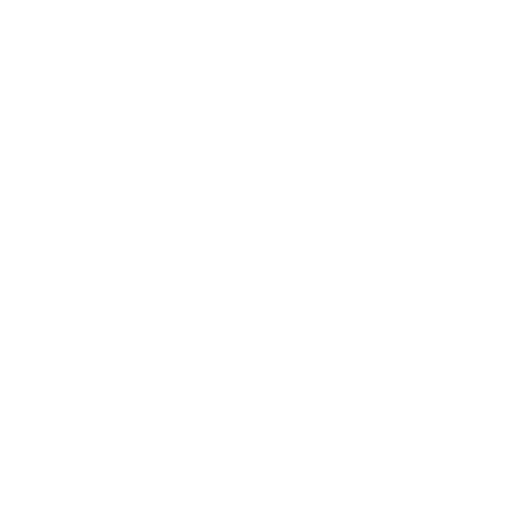 Snow Grid 3.0 m anthracite