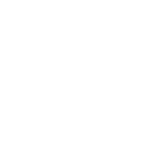 Safety roof hook for hanging TYP A black